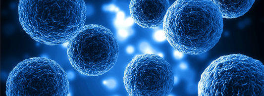 Breast Implant Illness as Cell Danger Response